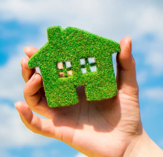 Zelený dom v ruke
